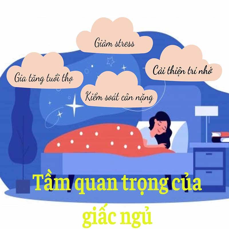 tầm quan trọng của giấc ngủ 