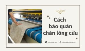 Cách bảo quản chăn lông cừu của nhà Lasante