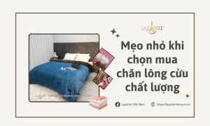 Mẹo nhỏ khi chọn mua chăn lông cừu chất lượng 12 Mẹo nhỏ khi chọn mua chăn lông cừu chất lượng