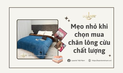 Mẹo nhỏ khi chọn mua chăn lông cừu chất lượng