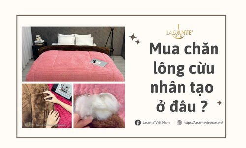 Mua chăn lông cừu nhân tạo ở đâu?