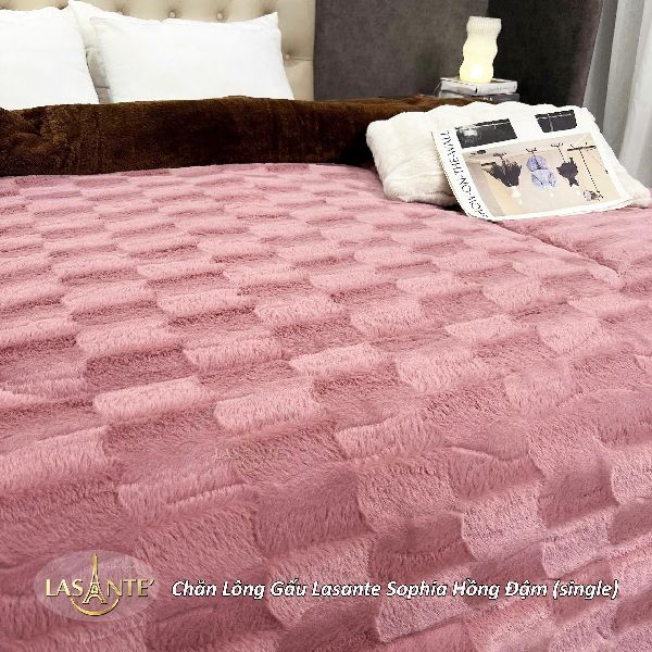 Chăn Lông Gấu Sophia z7146163333317 7571b8a99477cad92f28849ee49246bd