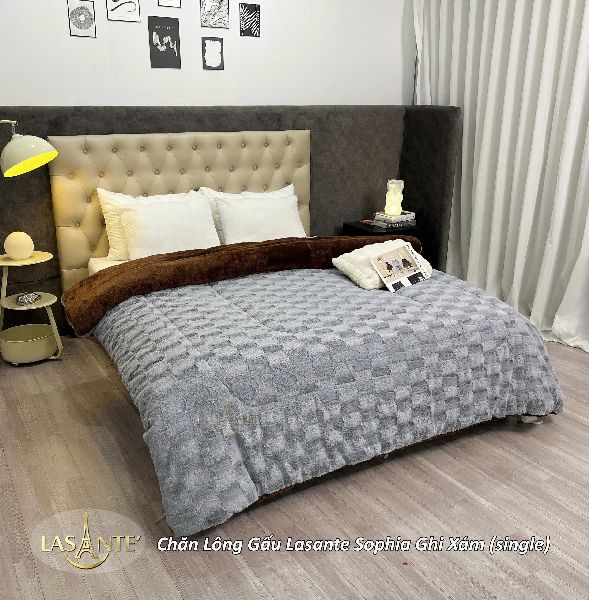 Chăn Lông Gấu Sophia z7147123406419 46656580204932a9aad6d3448d5e7155