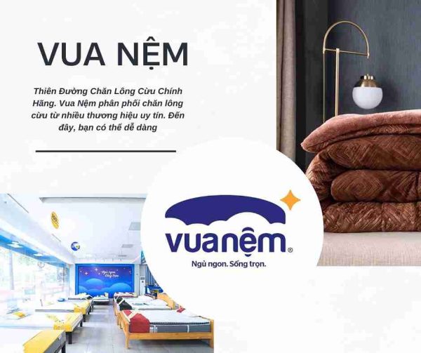 Thương hiệu Vua Nệm- Top 5 Địa Chỉ Mua Chăn Lông Cừu Uy Tín Được Khách Hàng