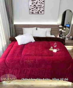 Chăn lông cừu Anita Hồng Vũ bảo vệ sức khỏe mùa lạnh 5 Chăn lông cừu Anita Lasante
