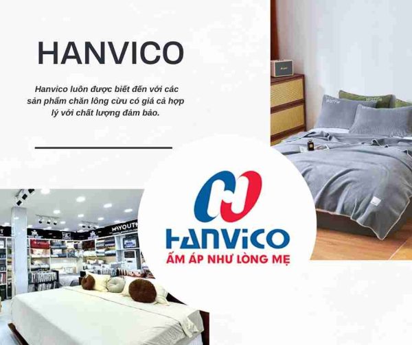 Thương hiệu Havico- Top 5 Địa Chỉ Mua Chăn Lông Cừu Uy Tín Được Khách Hàng