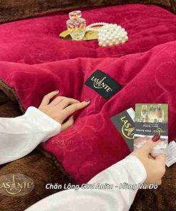 Chăn lông cừu Anita Hồng Vũ bảo vệ sức khỏe mùa lạnh 6 Chăn lông cừu Anita Lasante