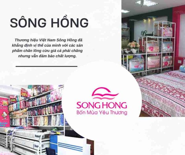 Sông Hồng- Top 5 Địa Chỉ Mua Chăn Lông Cừu Uy Tín Được Khách Hàng