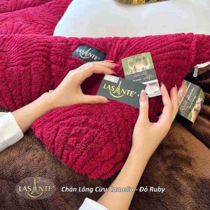 Chăn lông cừu Camelia Đỏ Ruby 2
