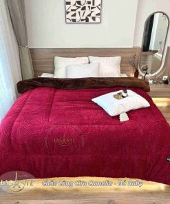 Chăn lông cừu Camelia phong cách đẳng cấp cho mùa Đông 12 Chăn lông cừu Camelia Đỏ Ruby 3