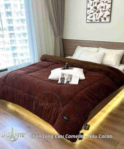 Chăn lông cừu Camelia phong cách đẳng cấp cho mùa Đông 5 Chăn lông cừu Camelia Nâu Cacao 3