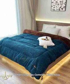 Chăn lông cừu Camelia phong cách đẳng cấp cho mùa Đông 6 Chăn lông cừu Camelia Xanh Navy 2 11zon