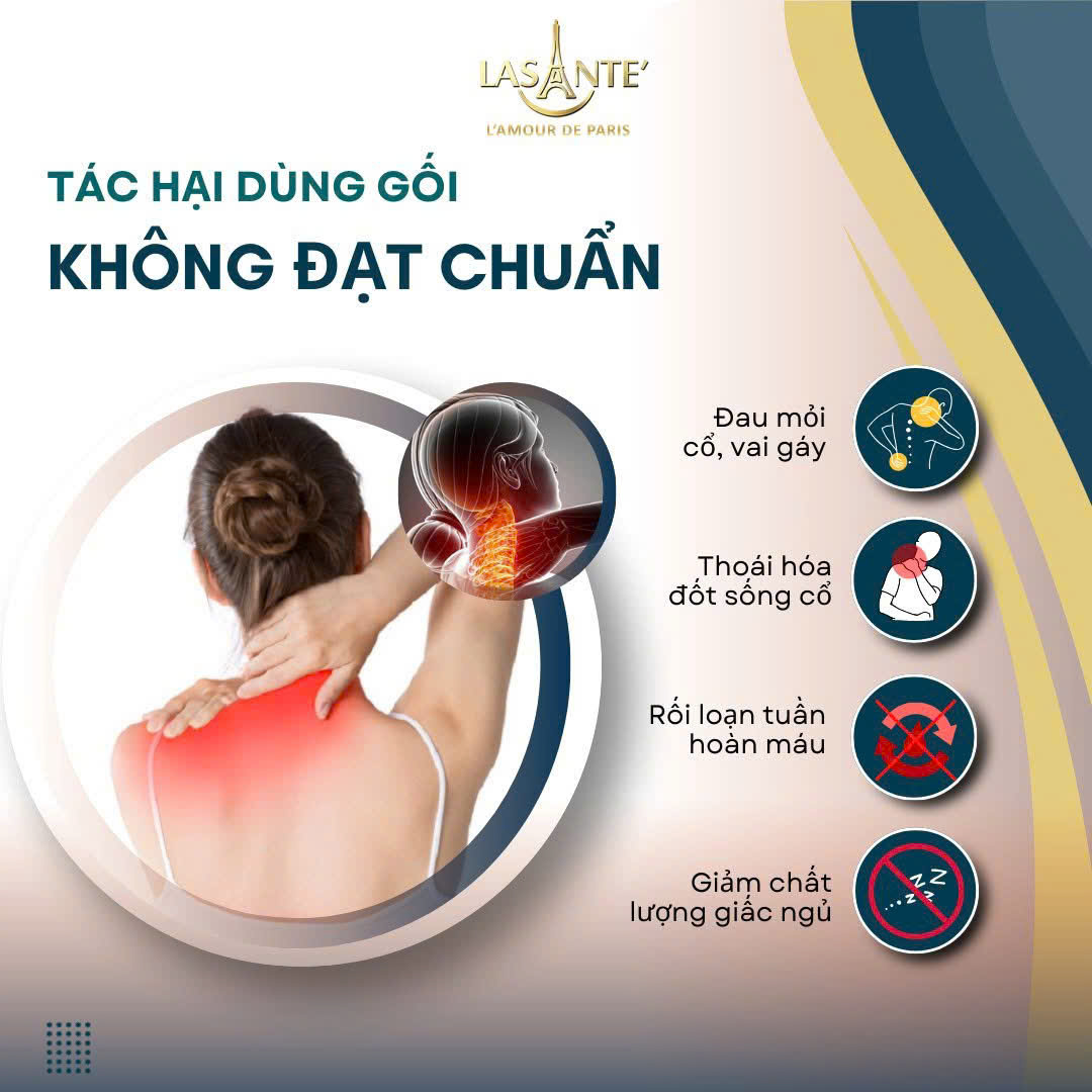 Gối cao su chống thoái hoá thấp Lasante. 5 Lasante - Gối cao su