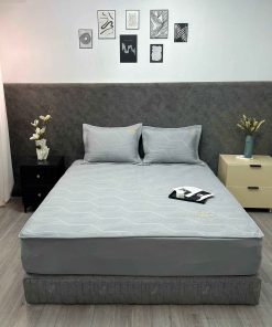 Bộ Ga Gối Icemax Plus 04 - Ga Gối Điều Hòa MỚI NHẤT 2025 1 Bộ ga gối Icemax Plus Xám 04 - Lasante