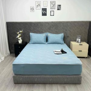 Bộ ga gối Icemax Plus Xanh 04 - Lasante