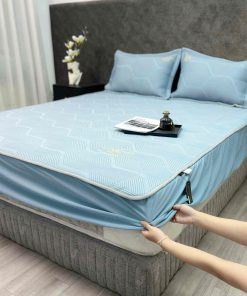 Bộ Ga Gối Icemax Plus 04 - Ga Gối Điều Hòa MỚI NHẤT 2025 2 Plus Xanh 04 (2)
