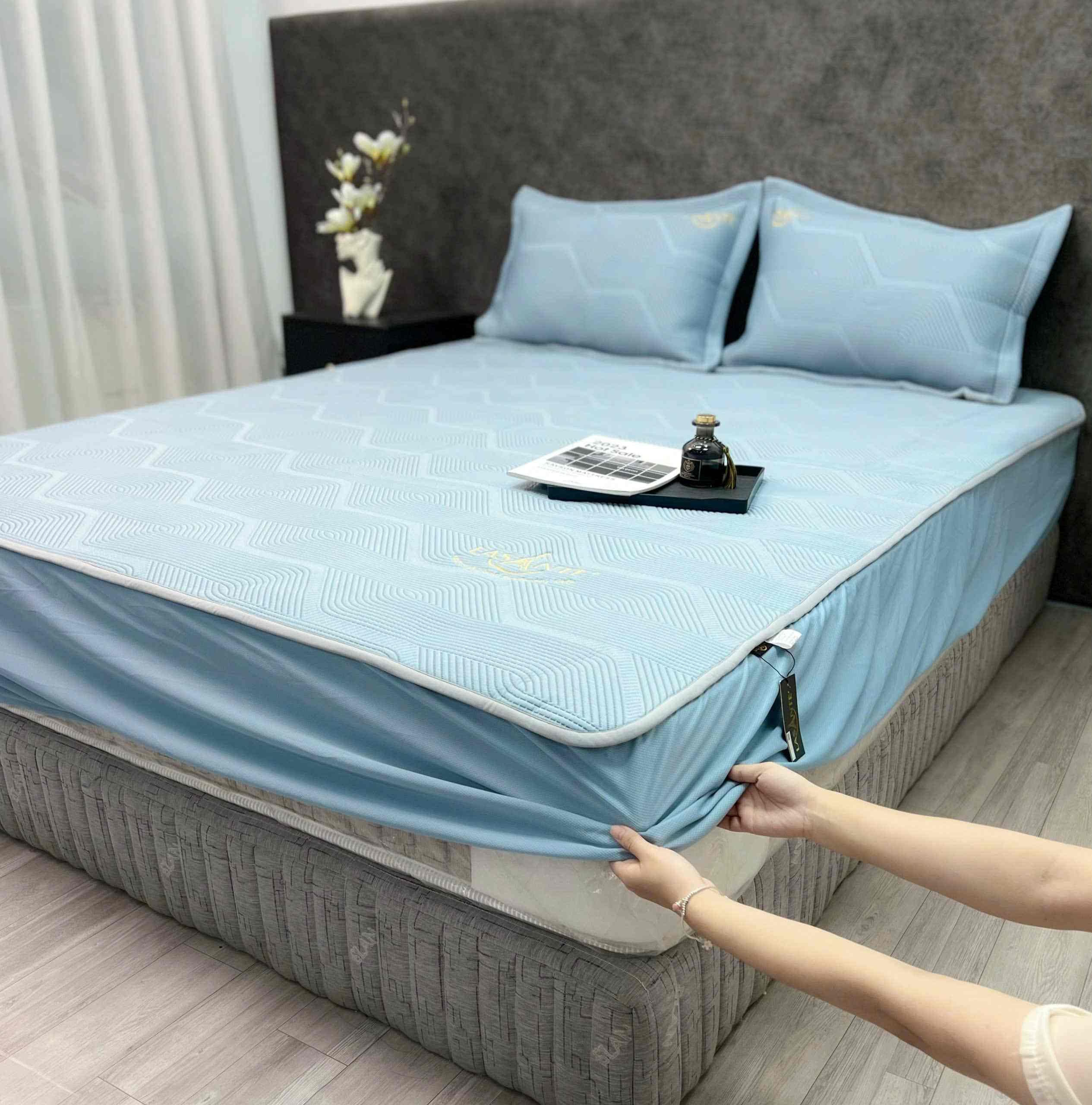 Bộ Ga Gối Icemax Plus 04 - Ga Gối Điều Hòa MỚI NHẤT 2025 3 Plus Xanh 04 (2)
