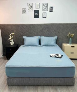 Bộ ga gối Icemax Plus Xanh 06 - Lasante