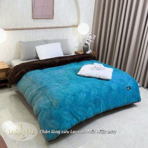 Chăn lông cừu Lasante Min Diệp Lam - Chăn lông cừu quốc dân giá tốt 5 z6952154462191 b45baaa90e17d4458b1ec1b657b95783