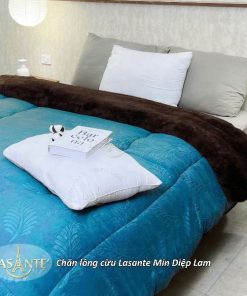 Chăn lông cừu Lasante Min Diệp Lam - Chăn lông cừu quốc dân giá tốt 2 z6952154571775 4c95fd877558b144138b77c9d70528ae