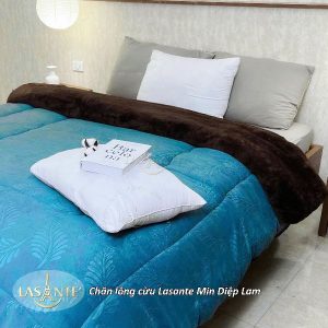 Chăn lông cừu Lasante Min Diệp Lam - Chăn lông cừu quốc dân giá tốt 3 z6952154571775 4c95fd877558b144138b77c9d70528ae
