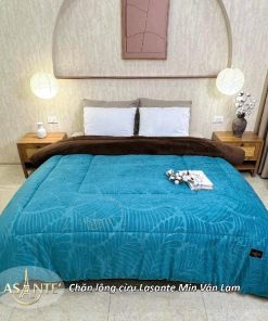 Chăn lông cừu Lasante Min Vân Lam - Chăn lông cừu mùa đông nhẹ mà ấm 1 z6952157425236 9a2a6ecbfa5d2cba4cd5bdf625357298