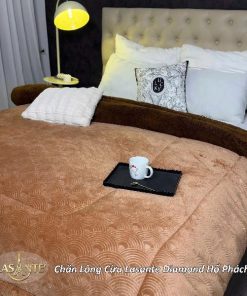 z6957396383931 95dc662515d58975d862d8f2e5c45ec2