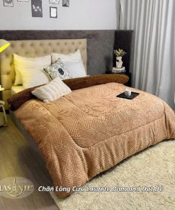 z6957547103408 66b11d4e3b439018cdd1f769f32ce932