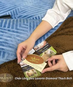 z6957675531703 c362085419ba6580ef59dcf7a0817d43