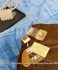 Chăn lông cừu Lasante Victoria Caro Xanh Biển (Mẫu mới 2025) - An toàn cho sức khỏe 5 z6975944576438 d7f405762299f569f7dad717f5a10271