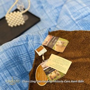 Chăn lông cừu Lasante Victoria Caro Xanh Biển (Mẫu mới 2025) - An toàn cho sức khỏe 8 z6975944576438 d7f405762299f569f7dad717f5a10271