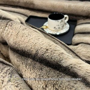 z7006852758470 4529bcc366400631e27a827ee1d46bb6