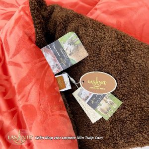 Muốn mua chăn mùa đông chính hãng nhưng giá phải chăng? Đây là lựa chọn khiến ai cũng bất ngờ! 2 chăn lông cừu Min