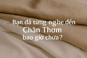 "Chăn Thơm" - Bạn đã từng nghe đến chưa? 3 ChatGPT Image 08 33 34 2 thg 10 2025