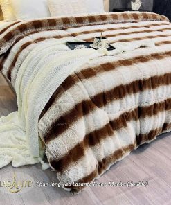 z7023564479482 cb3ffecb4e69f2b1e597adec35bf2ed3