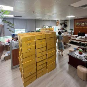 điện lực hải dương