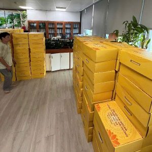 điện lực hải dương