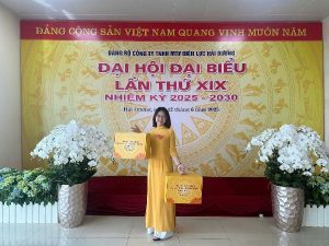 điện lực hải dương
