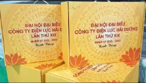 điện lực hải dương
