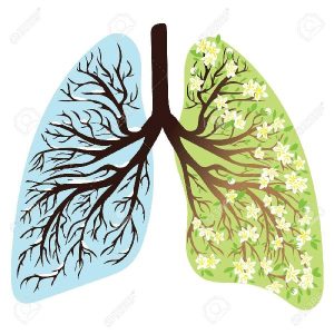 Thời tiết chênh lệch nhiệt độ ngày đêm