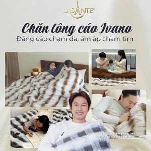 Quà tặng lễ tết