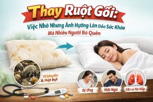 Thay Ruột Gối