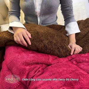 Chăn lông cừu Lasante Min Daisy - Họa tiết hoa cúc nhẹ nhàng 10 chăn lông cừu Min