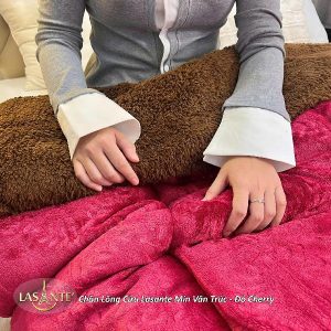 Chăn lông cừu Lasante Min Vân Trúc - Chăn chính hãng giá mềm 10 chăn lông cừu Min