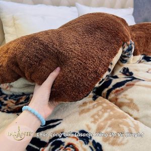 chăn lông gấu