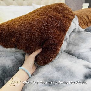 Chăn lông gấu