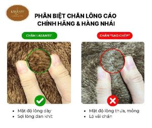 Phân Biệt Chăn Celine Lasante Chính Hãng Và Hàng Nhái – Đừng Để Bị Đánh Lừa Bởi Ảnh Mẫu 2 Phân biệt chăn Celine Lasante chính hãng