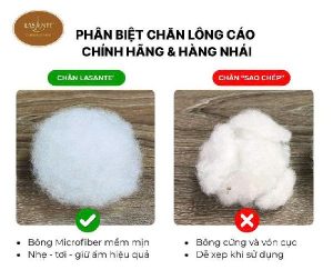 Phân Biệt Chăn Celine Lasante Chính Hãng Và Hàng Nhái – Đừng Để Bị Đánh Lừa Bởi Ảnh Mẫu 5 Phân biệt chăn Celine Lasante chính hãng