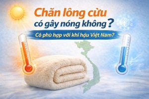 Chăn lông cừu có gây nóng không