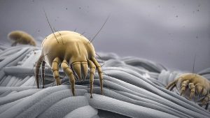 thay chăn ga gối đệm